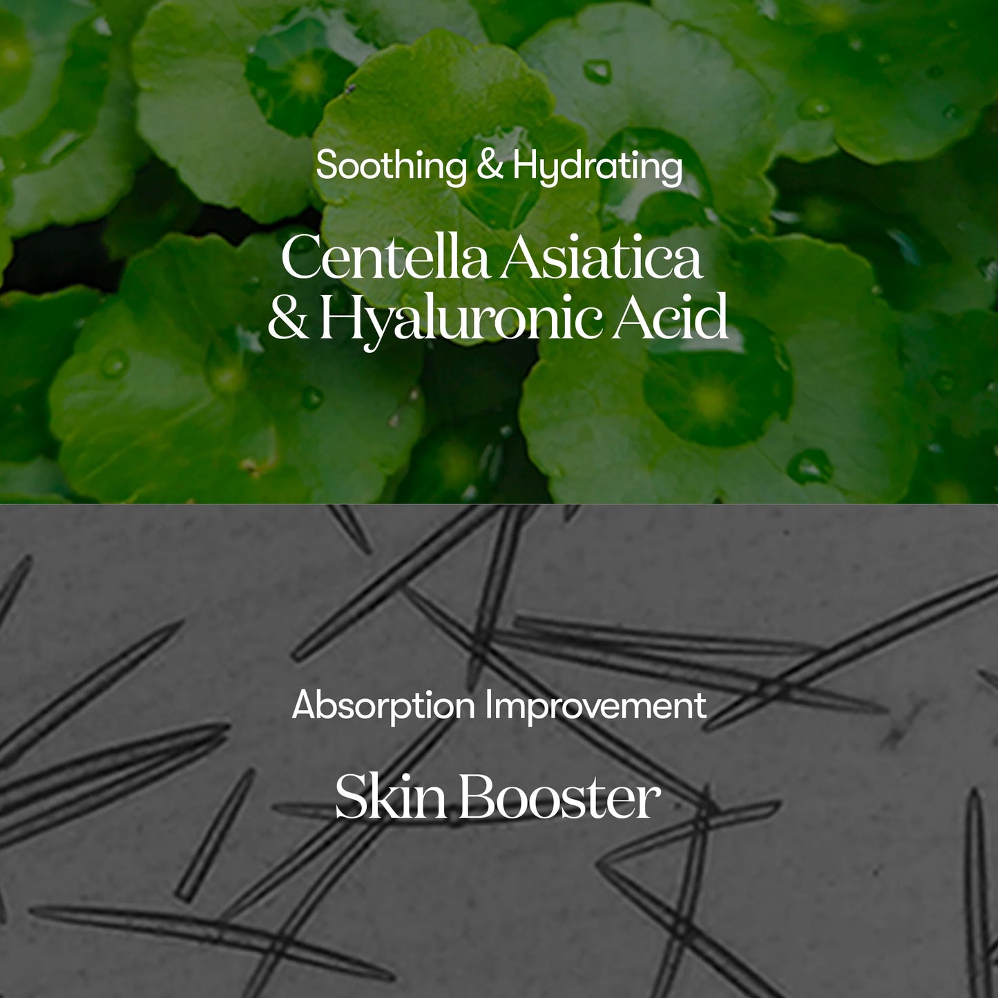 Product advertisement for a skin booster with Centella Asiatica and Hyaluronic Acid, featuring green leaves and black needles.