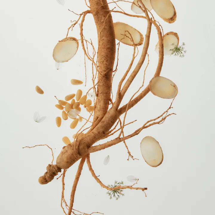 Beauty of Joseon Ginseng Cleansing Oil
