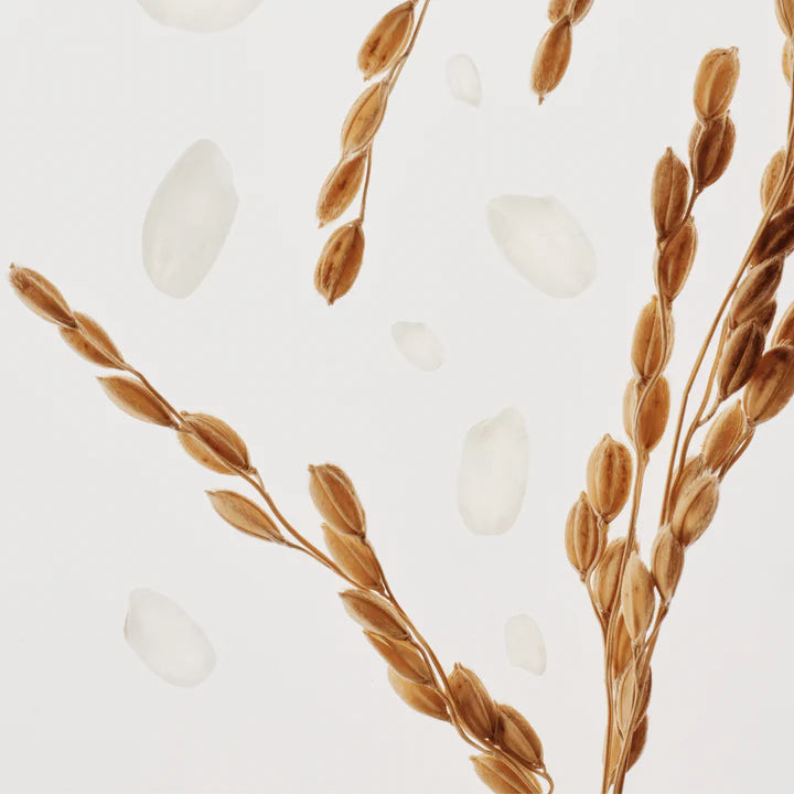 Beauty of Joseon Rice Replenishing Milk