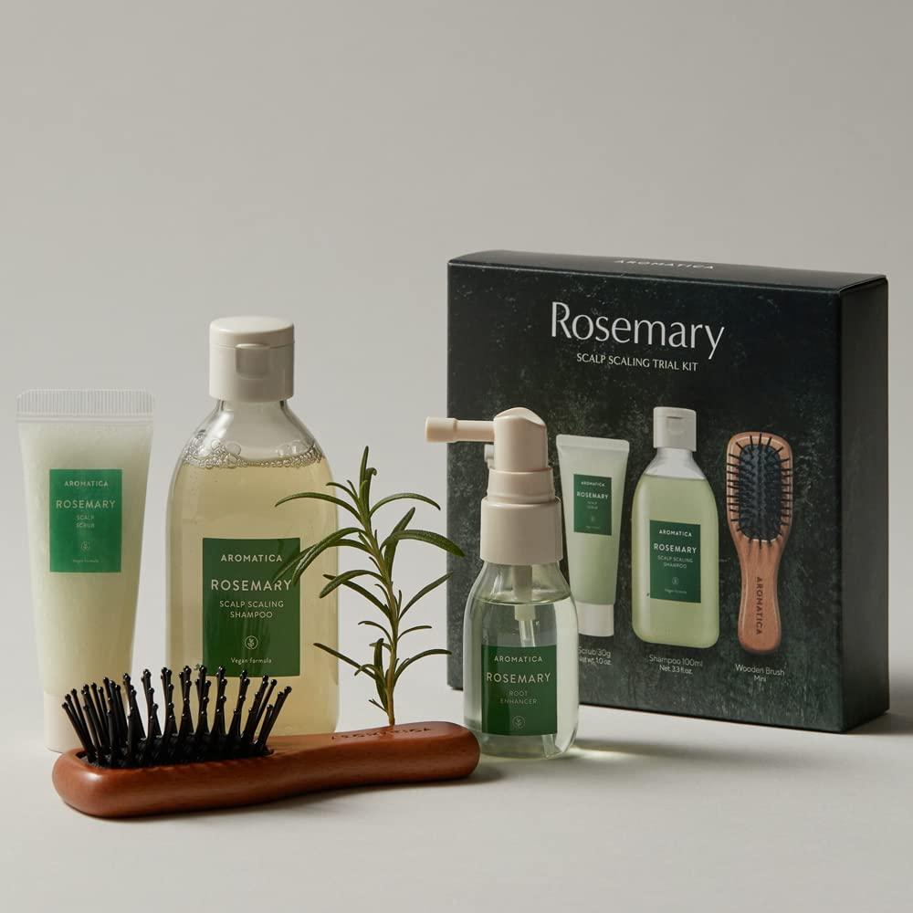 Rosemary scalp care product set with bottles, a brush, and a plant on a neutral background