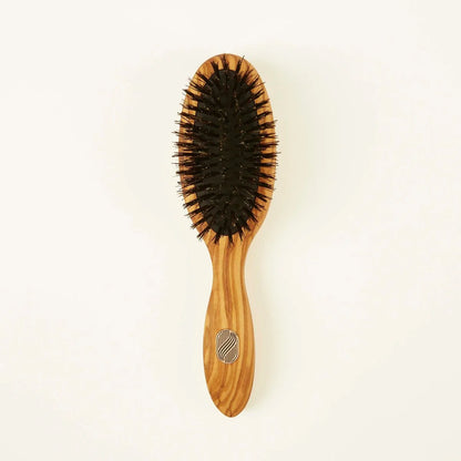 Altesse Studio Beaute Care Hairbrush