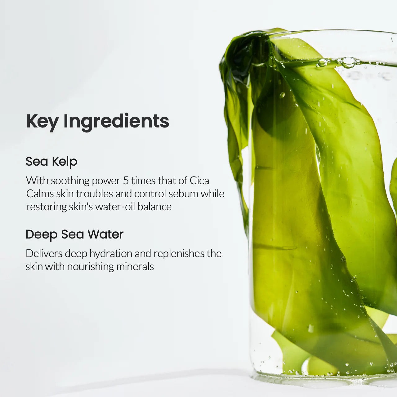 Refreshing Sea Kelp Real Deep Mask Pack (4pc)