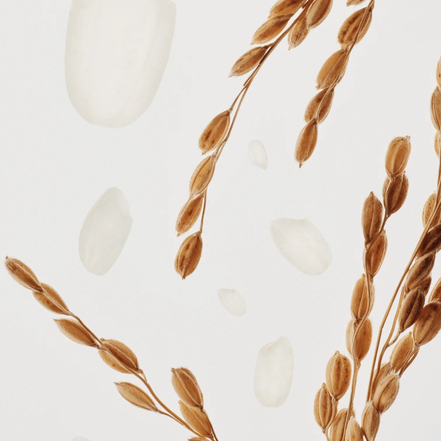 Beauty of Joseon Glow Deep Serum: Rice & Alpha Arbutin 60ml